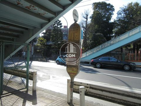 大通り