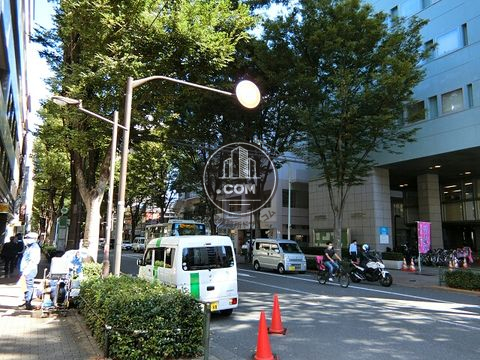 大通り