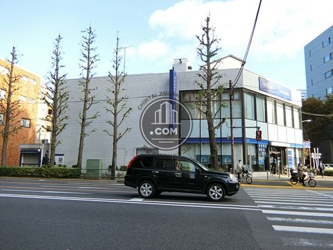 大通り