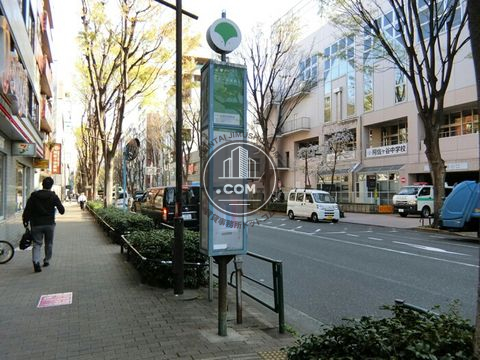 大通り