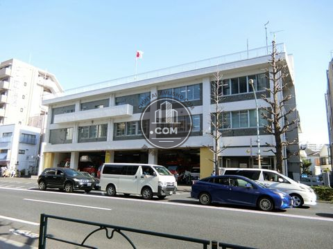 大通り
