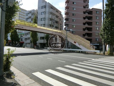 大通り