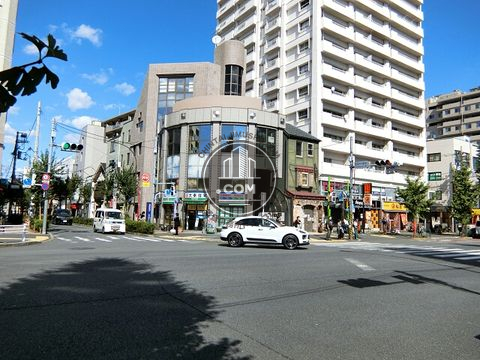 大通り