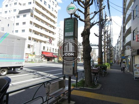 大通り