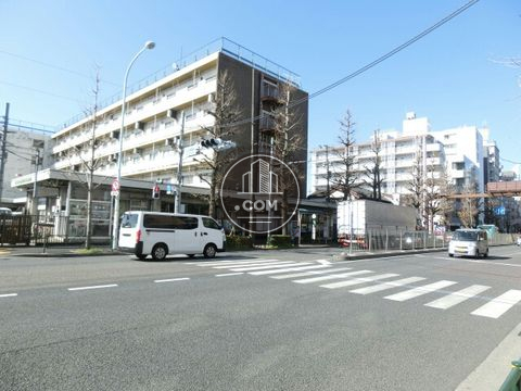 大通り