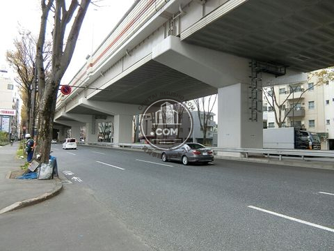 大通り