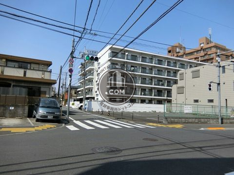大通り