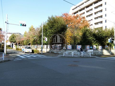 大通り