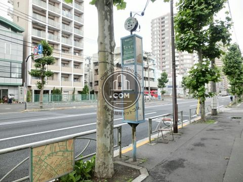 大通り