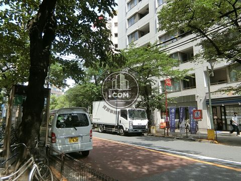 大通り