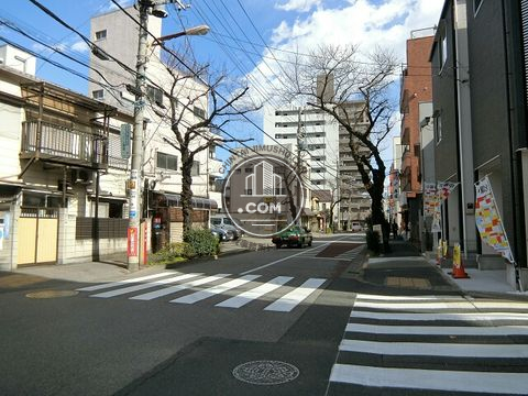 大通り