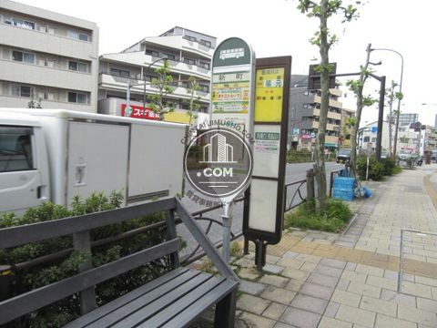 大通り