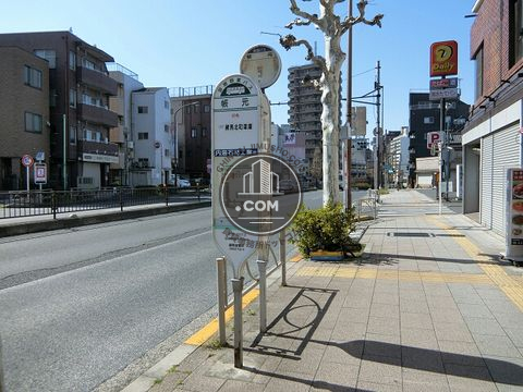 大通り