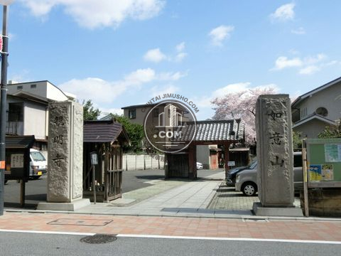 裏路地