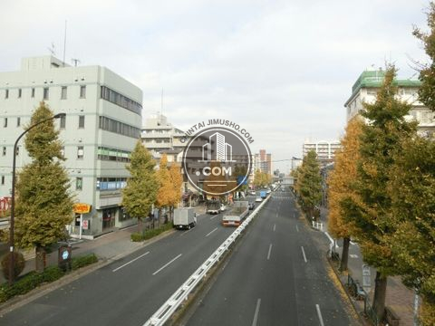 大通り