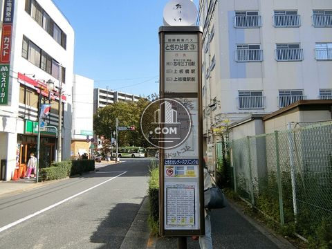 大通り