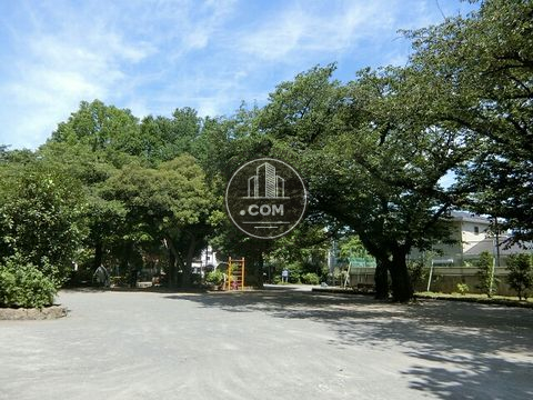 裏路地