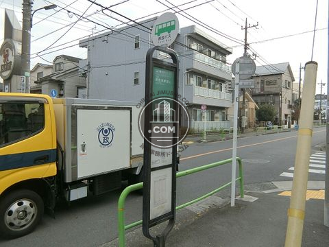 大通り