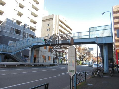 大通り