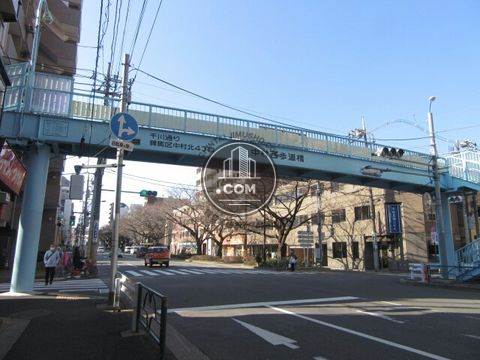 大通り