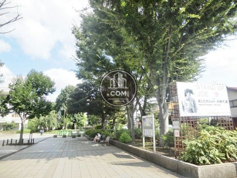 大通り