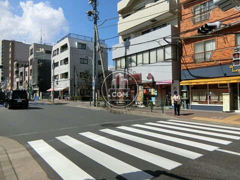 大通り