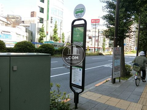 大通り