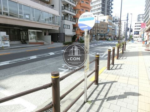 大通り