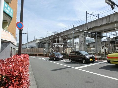 大通り