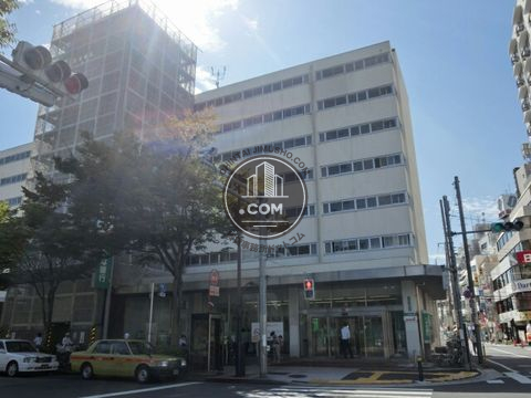 大通り
