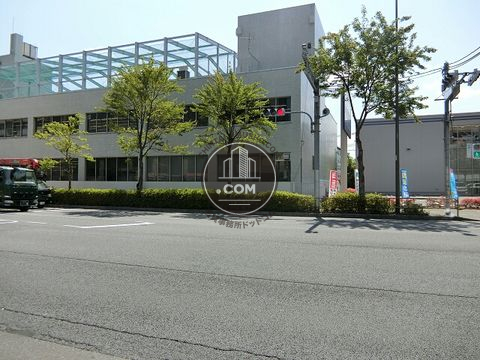 大通り