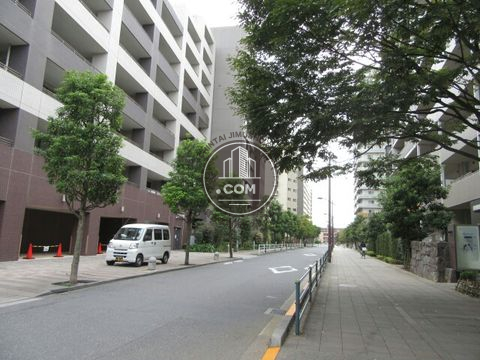 大通り