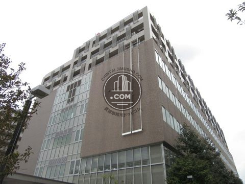 大通り