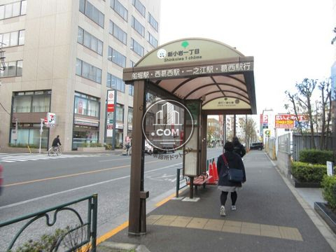 大通り