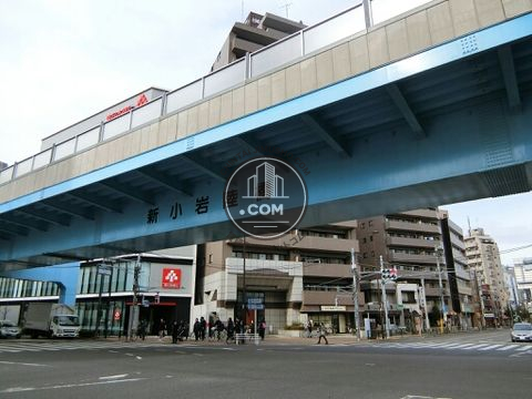 大通り