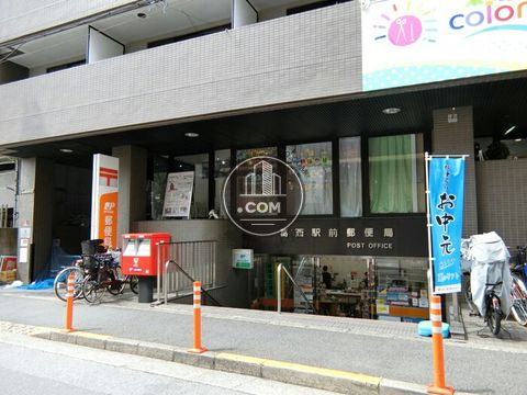 大通り