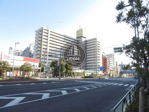 大通り