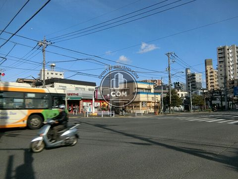 大通り