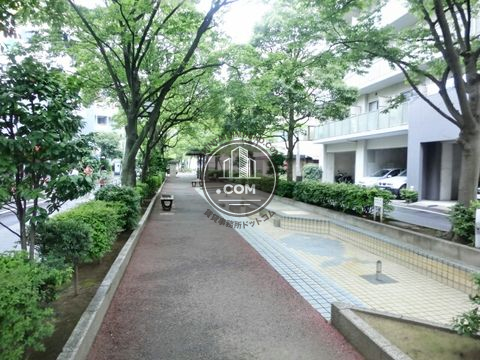 大通り