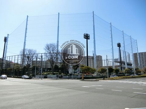 大通り