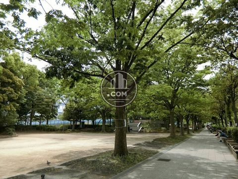 裏路地