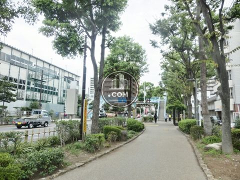 大通り