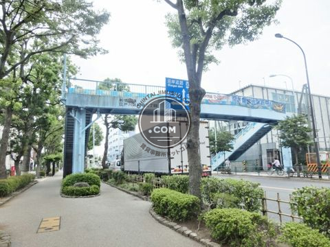 大通り