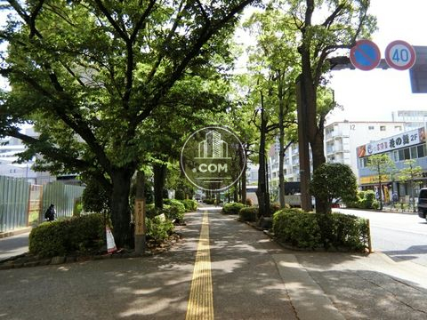 裏路地