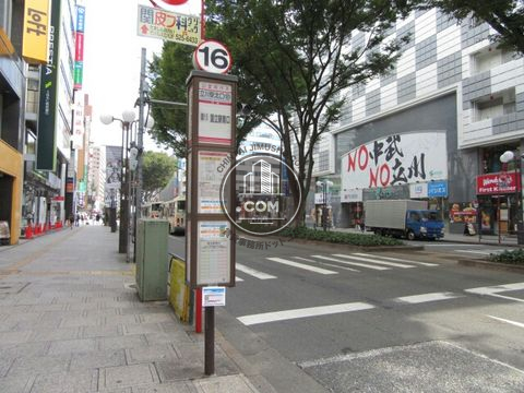 大通り