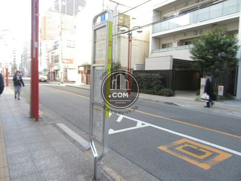 大通り