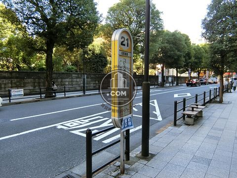 大通り