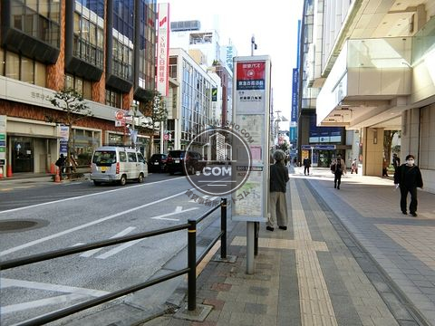 大通り