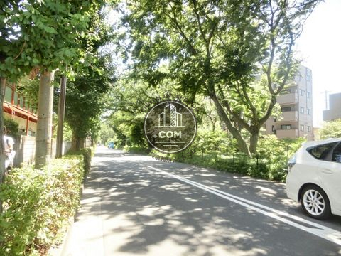 大通り