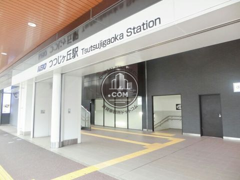 駅周辺